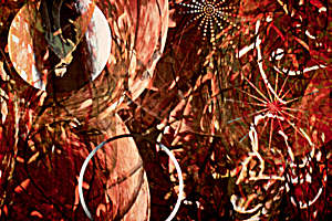 Organized Chaos 1
