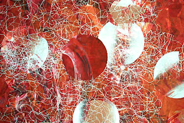 Seeds of Planets