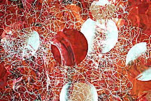 Seeds of Planets